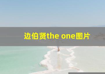 边伯贤the one图片